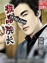 《极品院长》小说封面