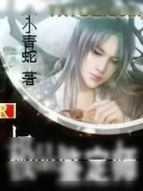 《极品鉴定师》小说封面