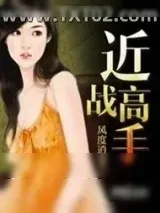 《近战高手》小说封面