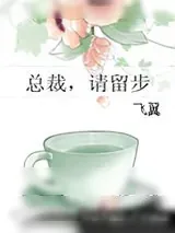 《总裁，请留步》小说封面