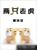《两只老虎》小说封面
