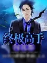 《终极高手闯花都》小说封面