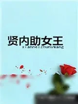 《贤内助女王》小说封面