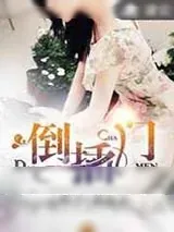 《倒插门》小说封面