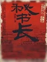 《秘书长》小说封面
