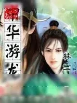 《中华游龙》小说封面