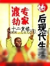 《渡劫专家的后现代生活》小说封面