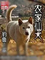 《农家仙犬》小说封面