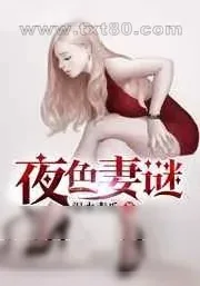 《夜色妻谜》小说封面