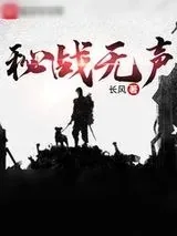 《秘战》小说封面