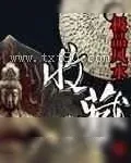 《极品风水收藏家》小说封面