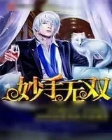 《妙手无双》小说封面