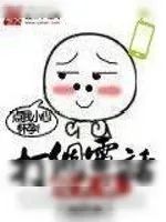 《愤怒的小鸟》小说封面