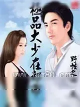 《极品大少在都市》小说封面