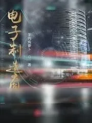 《电子制造商》小说封面