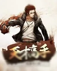 《天才高手》小说封面