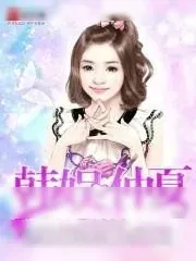 《韩娱仲夏》小说封面
