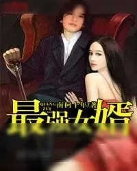《最强女婿》小说封面