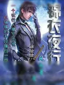 《锦衣夜行》小说封面
