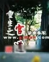 《重生之官道》小说封面