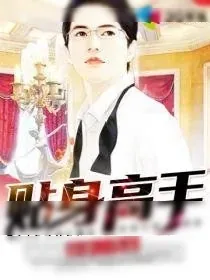 《女神的贴身高手》小说封面