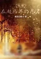 《纵横在超凡界的忍者》小说封面