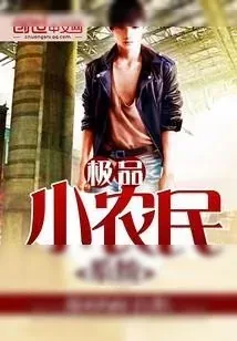 《极品小农民系统》小说封面