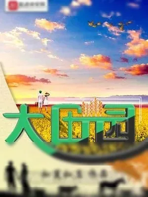 《大田园》小说封面