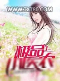 《极品小医农》小说封面