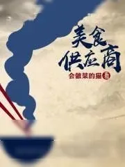 《美食供应商》小说封面