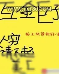 《互金巨子》小说封面