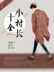 《十全小村长》小说封面