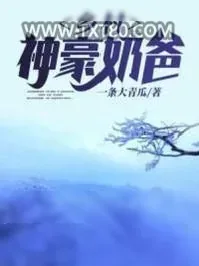 《乡村神豪奶爸》小说封面