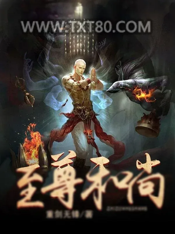 《至尊和尚》小说封面