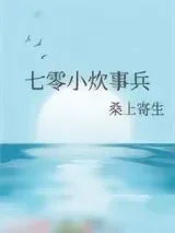 《七零小炊事兵》小说封面