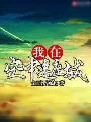 《我在空中建座城》小说封面