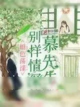 《别样情深慕先生》小说封面