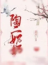 《陶二奶奶》小说封面