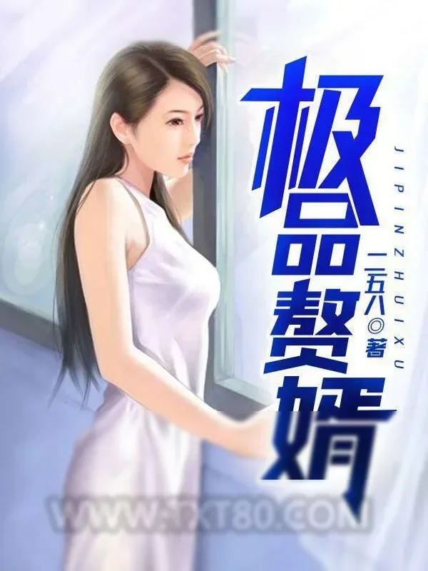 《极品赘婿》小说封面