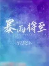 《暴雨将至》小说封面