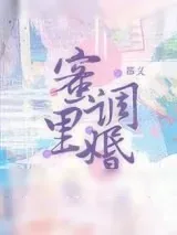 《蜜里调婚》小说封面