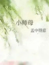 《小师母》小说封面