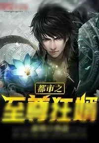 《都市之至尊狂婿》小说封面