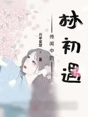 《传闻中的林初遇》小说封面