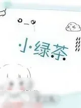 《小绿茶》小说封面