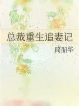 《总裁重生追妻记》小说封面