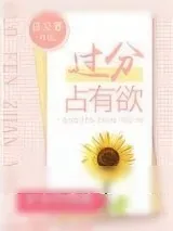《过分占有欲》小说封面