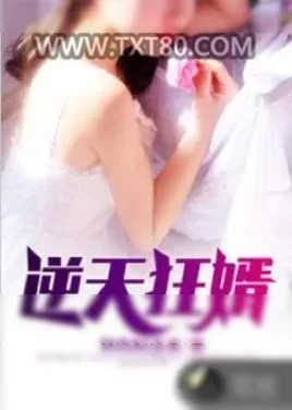 《逆天狂婿》小说封面