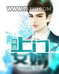 《极品上门女婿》小说封面