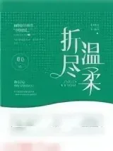 《折尽温柔》小说封面